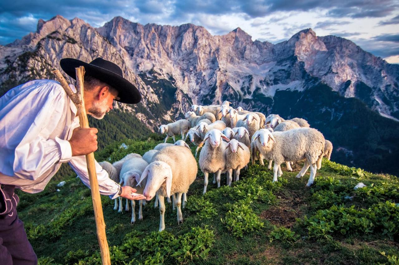 Tourist Farm Senkova Domacija Villa Zgornje Jezersko Luaran gambar